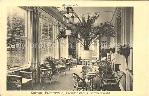 Freudenstadt Kurhaus Palmenwald Kat. Freudenstadt