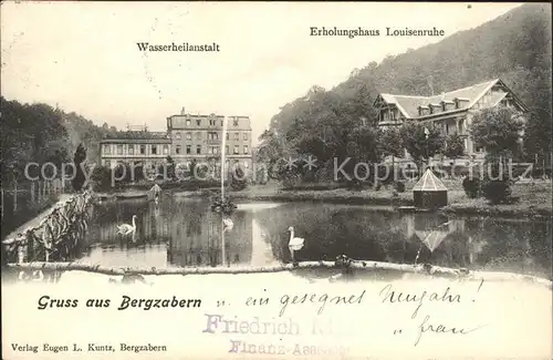 Bad Bergzabern Wasserheilanstalt Erholungshaus Louisenruhe Schwanenteich Kat. Bad Bergzabern