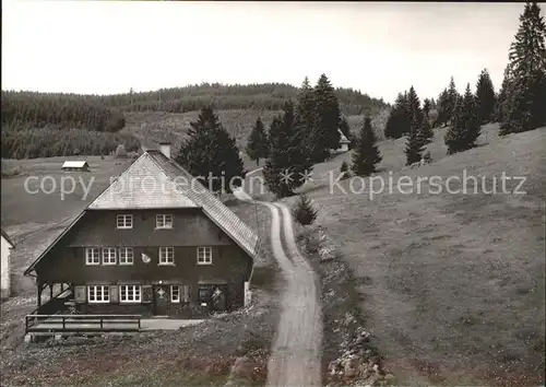 Fischbach Schluchsee Brisgovenhuette  Kat. Schluchsee