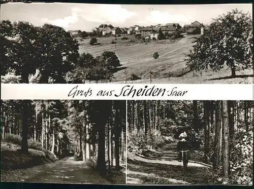 Scheiden Waldweg Teilansicht Kat. Losheim