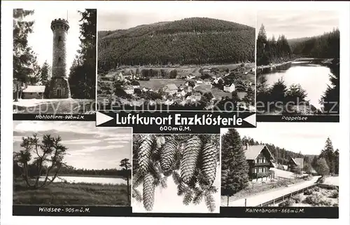 Enzkloesterle Hohloturm Gesamtansicht Poppelsee Wildsee Kaltenbronn Kat. Enzkloesterle