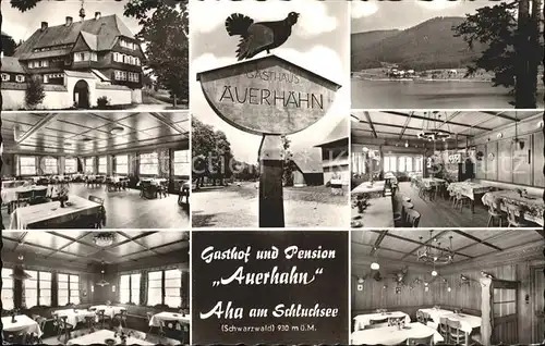 Aha Schluchsee Gasthof Pension Auerhahn Details Hinweisschild Kat. Schluchsee