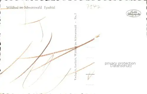 Wildbad Schwarzwald Blick ins Eyachtal Kat. Bad Wildbad
