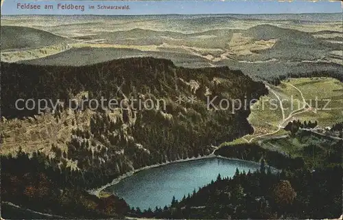 Feldberg Schwarzwald mit Feldsee Panorama Kat. Feldberg (Schwarzwald)