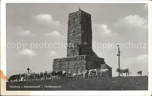 Feldberg Schwarzwald Feldbergturm Kat. Feldberg (Schwarzwald)