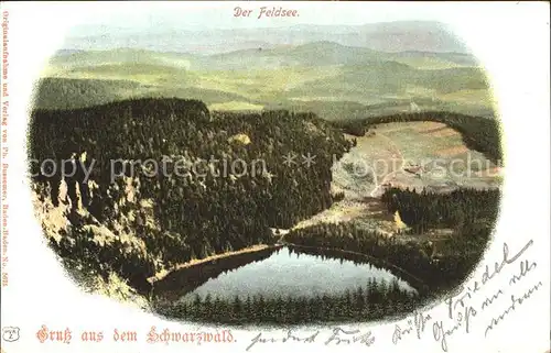 Feldberg Schwarzwald Feldsee Panorama Kat. Feldberg (Schwarzwald)