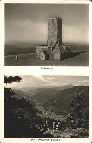 Feldberg Schwarzwald Feldbergturm Wiesental Kat. Feldberg (Schwarzwald)