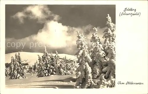 Feldberg Schwarzwald Am Stuebenwasen Kat. Feldberg (Schwarzwald)