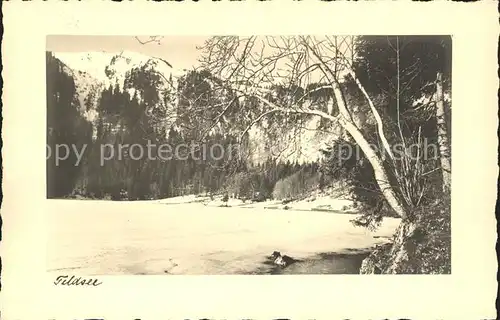 Feldberg Schwarzwald Feldsee Kat. Feldberg (Schwarzwald)