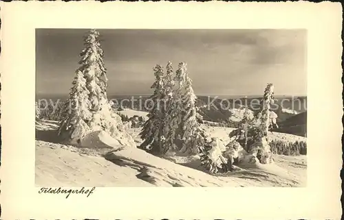 Feldberg Schwarzwald Hotel Feldbergerhof Kat. Feldberg (Schwarzwald)