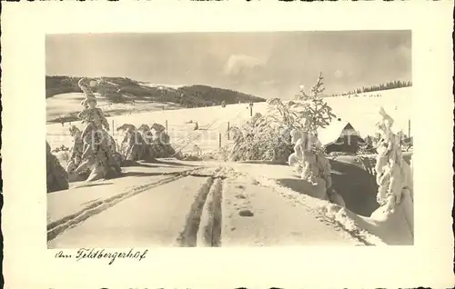 Feldberg Schwarzwald Partie am Feldbergerhof Kat. Feldberg (Schwarzwald)