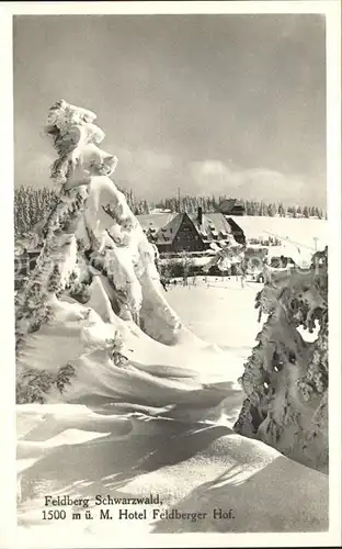 Feldberg Schwarzwald Hotel Feldberger Hof Kat. Feldberg (Schwarzwald)