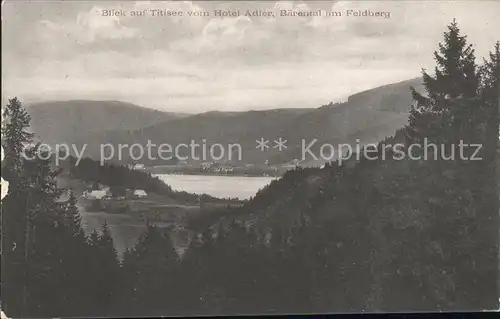 Baerental Feldberg Blick vom Hotel Adler auf Titisee Kat. Feldberg (Schwarzwald)