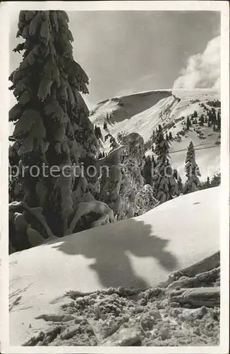 Feldberg Schwarzwald Herzogenhorn Kat. Feldberg (Schwarzwald)