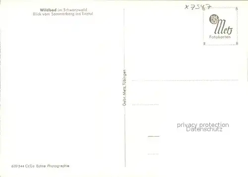 Wildbad Schwarzwald Blick vom Sommerberg ins Enztal Kat. Bad Wildbad