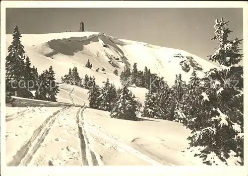 Feldberg Schwarzwald Seebuck mit Feldbergturm Kat. Feldberg (Schwarzwald)