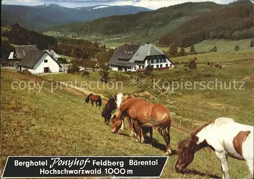 Baerental Feldberg Berghotel Ponyhof Kat. Feldberg (Schwarzwald)