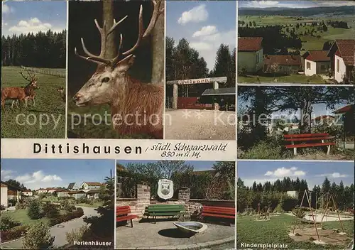 Dittishausen Wildpark Hirsche Ferienhaeuser Park Kinderspielplatz Kat. Loeffingen