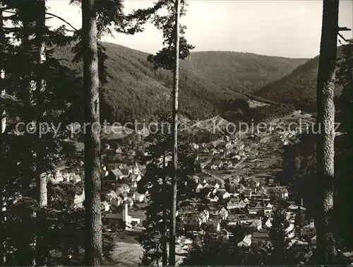 Calmbach Enz Totalansicht Kat. Bad Wildbad