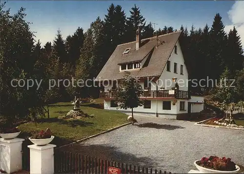 Schluchsee Pension Wolfsgrund Kat. Schluchsee