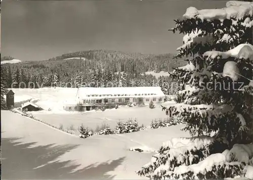 Schluchsee Haus Rappennest Kat. Schluchsee