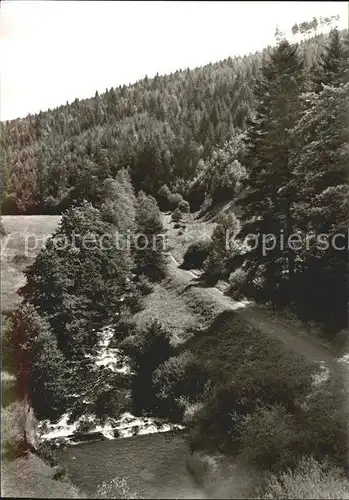 Wildbad Schwarzwald Blick ins Eyachtal Kat. Bad Wildbad