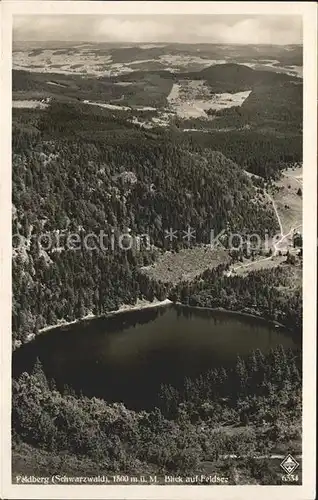 Feldberg Schwarzwald Feldsee Kat. Feldberg (Schwarzwald)