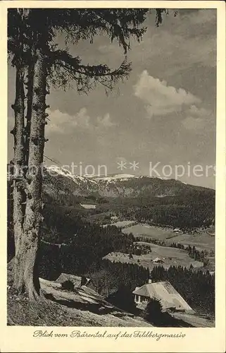 Feldberg Schwarzwald Blick vom Baerental Kat. Feldberg (Schwarzwald)