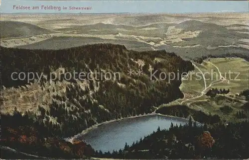 Feldberg Schwarzwald Feldsee Kat. Feldberg (Schwarzwald)