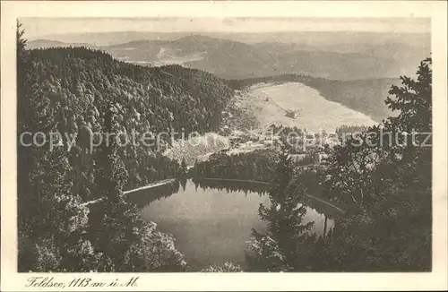 Feldberg Schwarzwald Feldsee Kat. Feldberg (Schwarzwald)