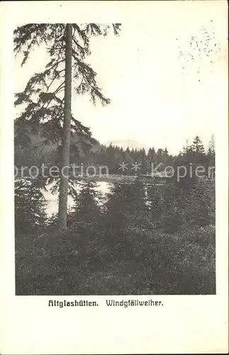 Altglashuetten Windgfaellweiher Kat. Feldberg (Schwarzwald)