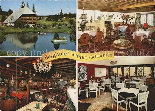 Schluchsee Berghotel Muehle Kat. Schluchsee