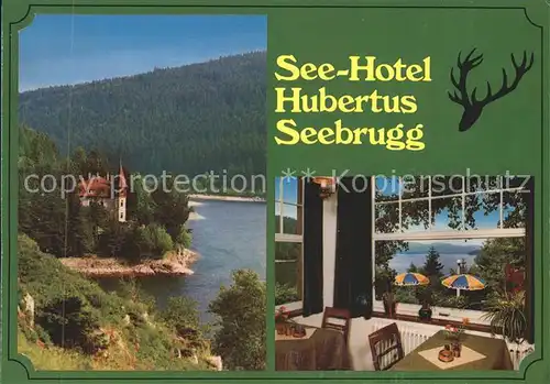 Seebrugg Seehotel Hubertus Kat. Schluchsee