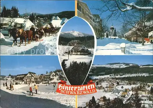 Hinterzarten Skigebiet Pferdeschlitten Kat. Hinterzarten