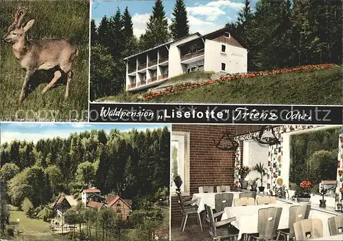 Trienz Waldpension Liselotte Kat. Fahrenbach