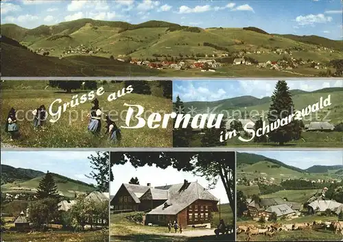 Bernau Schwarzwald  Kat. Bernau im Schwarzwald
