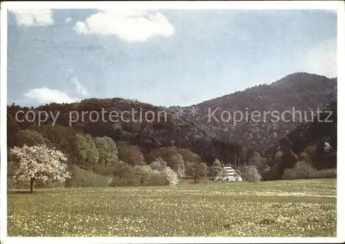 Badenweiler Kurheim Vogelbachhof Kat. Badenweiler