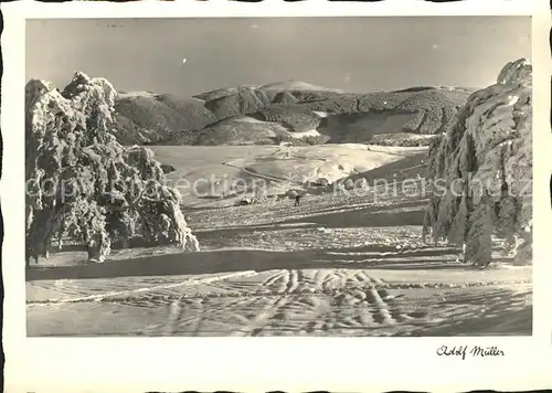 Feldberg Schwarzwald im Schnee Kat. Feldberg (Schwarzwald)