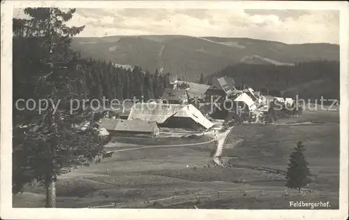 Feldberg Schwarzwald Feldbergerhof Kat. Feldberg (Schwarzwald)