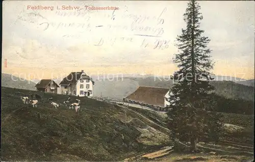 Feldberg Schwarzwald Todtnauerhuette Kat. Feldberg (Schwarzwald)