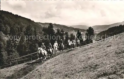 Feldberg Schwarzwald Berghof Behabuehl Pony  Kat. Feldberg (Schwarzwald)