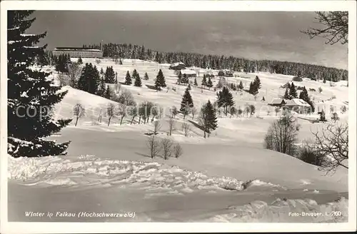 Falkau Winter Kat. Feldberg (Schwarzwald)