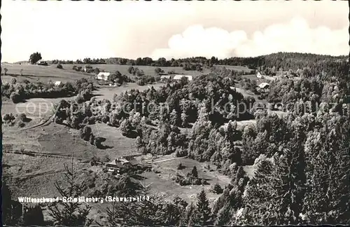 Wittenschwand Landschaft Wald Kat. Dachsberg