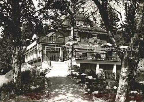 Falkau Pension Peterle Kat. Feldberg (Schwarzwald)