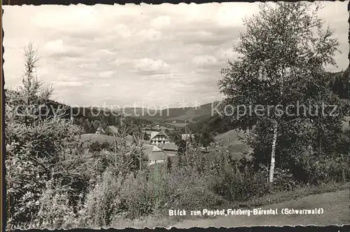 Feldberg Schwarzwald Baerentl Ponyhof  Kat. Feldberg (Schwarzwald)