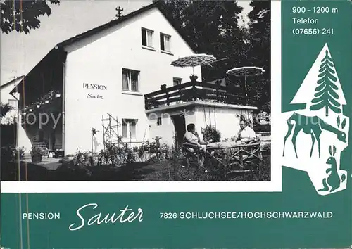 Schluchsee Pension Sauter  Kat. Schluchsee