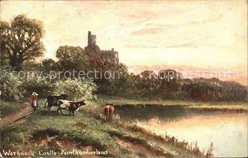 Northumberland Heath Warkworth Castle Kuehe See Kuenstlerkarte Kat. Bexley