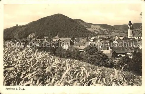 Kollnau  Kat. Waldkirch