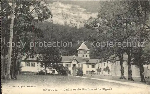 Nantua Chateau de Pradon et le Signal Kat. Nantua