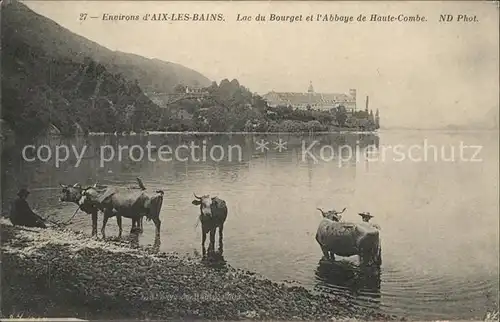 Aix les Bains Lac du Bourget et l Abbaye de Haute Combe Vache Kat. Aix les Bains